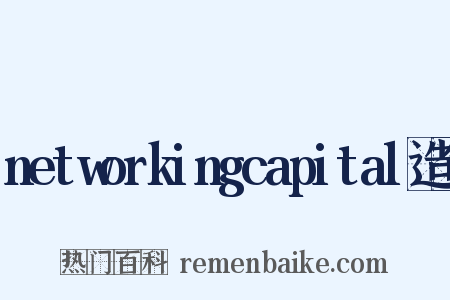 networkingcapital造句是什么意思的图片
